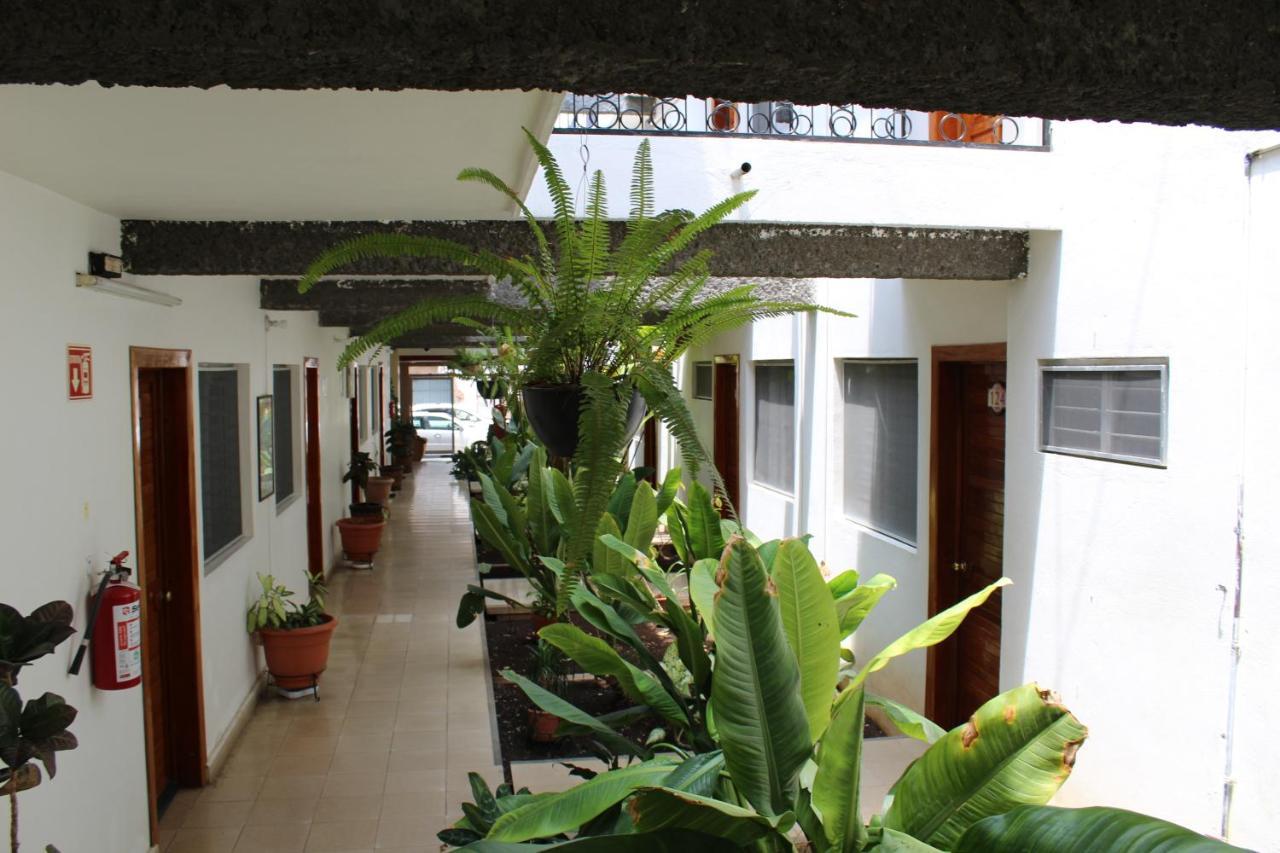 Hotel Casablanca Tuxtla Tuxtla Gutiérrez Exteriör bild